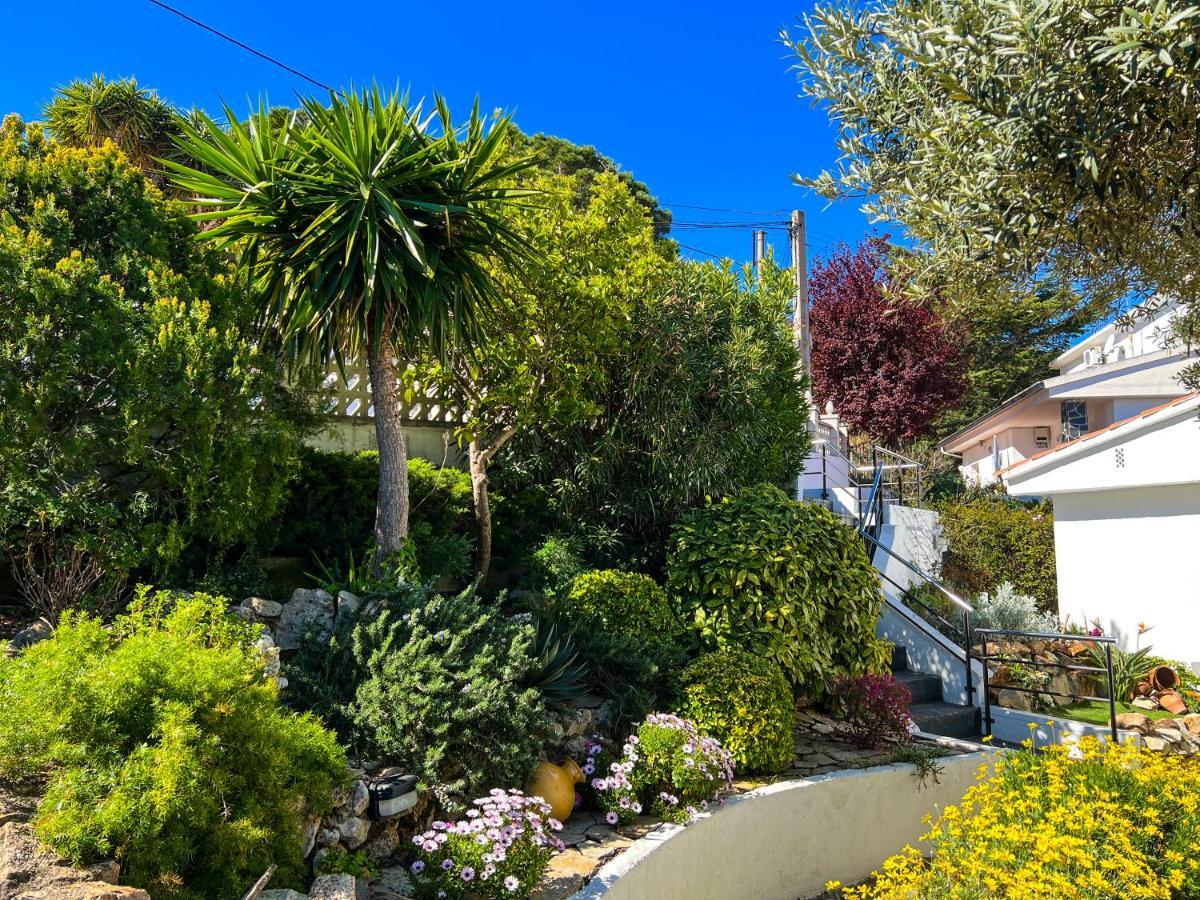 Sant Cebrià de VallaltaVivalidays Casa Ricardo别墅 外观 照片